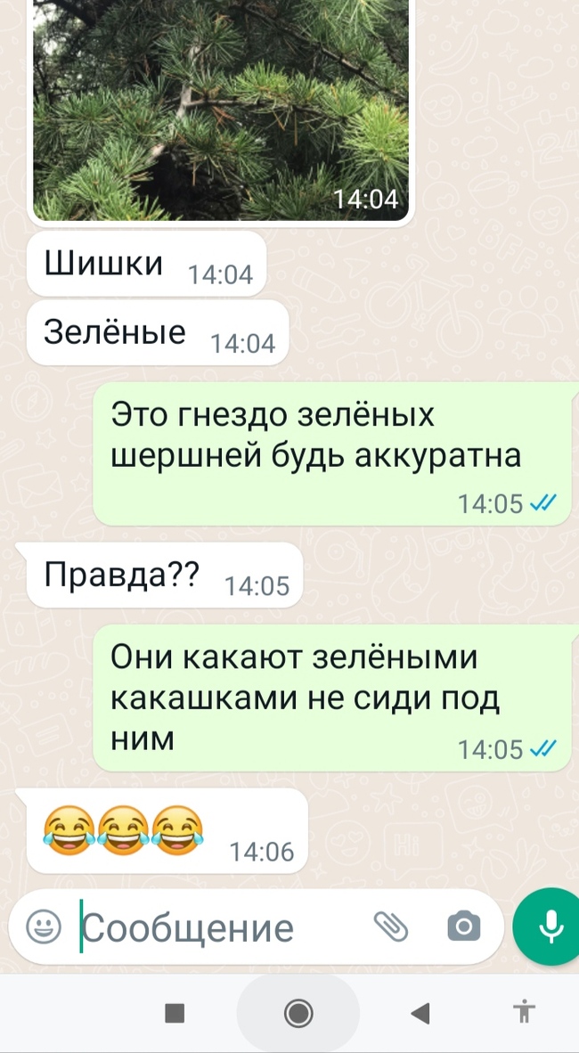   ,   , , 